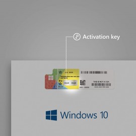  Windows 10 Professional PRO COA Sticker with Retail Key DHL Shipping - Wholesale 10 PCS Lot